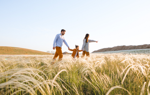 Formation Allocations familiales : save the date !